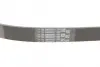 Ремень поликлиновой Conti continental 6 PK 1050