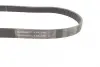 Ремень поликлиновой Conti continental 6PK1065