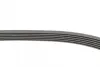 Ремень поликлиновой Conti continental 6 PK 1075