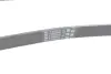 Ремень поликлиновой Conti continental 6PK1084