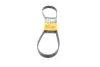Ремень поликлиновой Conti continental 6PK1084