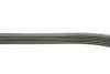 Ремень поликлиновой Conti continental 6 PK 1095