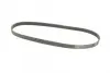 Ремень поликлиновой Conti continental 6 PK 1095