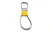 Ремень поликлиновой Conti continental 6 PK 1095