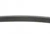 Ремень поликлиновой Conti continental 6PK1105