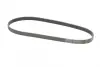 Ремень поликлиновой Conti continental 6PK1105