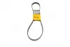 Ремень поликлиновой Conti continental 6PK1105