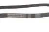 Ремень поликлиновой Conti continental 6PK1165