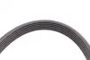 Ремень поликлиновой Conti continental 6PK1165