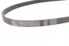 Ремень поликлиновой Conti continental 6 PK 1200