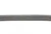 Ремень поликлиновой Conti continental 6PK1249ELAST