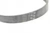 Ремень поликлиновой Conti continental 6PK1249ELAST