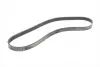 Ремень поликлиновой Conti continental 6PK1249ELAST