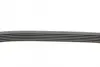 Ремень поликлиновой Conti continental 6PK1270