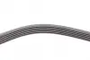 Ремень поликлиновой Conti continental 6PK1325