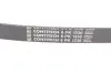 Ремень поликлиновой Conti continental 6 PK 1330