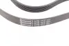 Ремень поликлиновой Conti continental 6PK1370