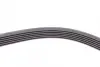 Ремень поликлиновой Conti continental 6PK1370