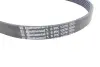 Ремень поликлиновой Conti continental 6PK1374