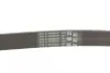 Ремень поликлиновой Conti Continental 6 PK 1390 (фото 3)
