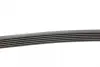 Ремень поликлиновой Conti continental 6PK1440
