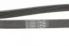 Ремень поликлиновой Conti continental 6PK1440