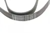 Ремень поликлиновой Conti continental 6PK1440