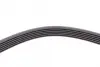Ремень поликлиновой Conti continental 6PK1453
