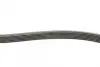 Ремень поликлиновой Conti continental 6 PK 1495