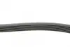Ремень поликлиновой Conti continental 6 PK 1515