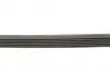 Ремень поликлиновой Conti continental 6PK1570