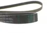 Ремень поликлиновой Conti continental 6PK1570