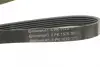 Ремень поликлиновой Conti continental 6PK1570