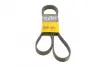 Ремень поликлиновой Conti continental 6PK1570