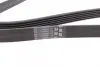Ремень поликлиновой Conti continental 6PK1642