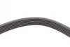Ремень поликлиновой Conti continental 6PK1642