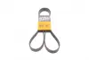 Ремень поликлиновой Conti continental 6PK1642