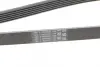 Ремень поликлиновой Conti continental 6PK1680