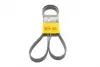 Ремень поликлиновой Conti continental 6PK1680