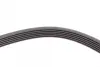 Ремень поликлиновой Conti continental 6PK1755