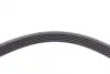 Ремень поликлиновой Conti continental 6 PK 1760