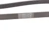 Ремень поликлиновой Conti continental 6PK1805