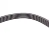 Ремень поликлиновой Conti continental 6PK1805