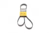 Ремень поликлиновой Conti continental 6PK1805