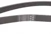 Ремень поликлиновой Conti continental 6 PK 1836