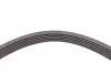 Ремень поликлиновой Conti continental 6 PK 1836