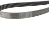 Ремень поликлиновой Conti continental 6PK1850