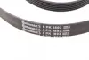 Ремень поликлиновой Conti continental 6PK1893