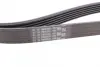 Ремень поликлиновой Conti continental 6PK2077