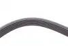 Ремень поликлиновой Conti continental 6PK2077
